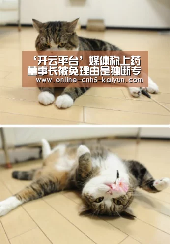 ‘开云平台’媒体称上药董事长被免理由是独断专行(图2) 开云